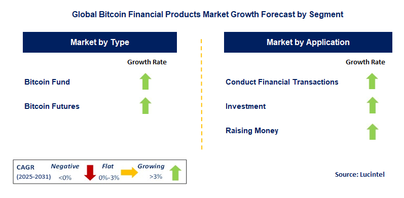Bitcoin Financial Products Market by Segment